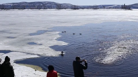 MVI 0059 Stock Footage 89168250