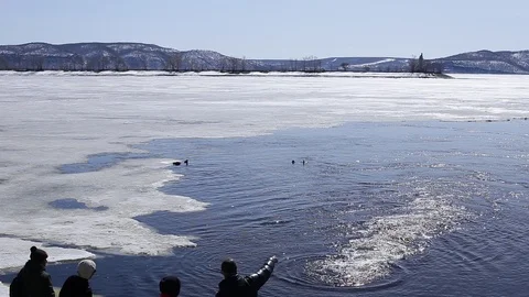 MVI 0060 Stock Footage 89168279