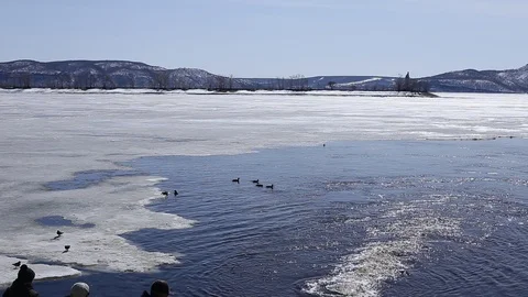 MVI 0061 Stock Footage 89168292