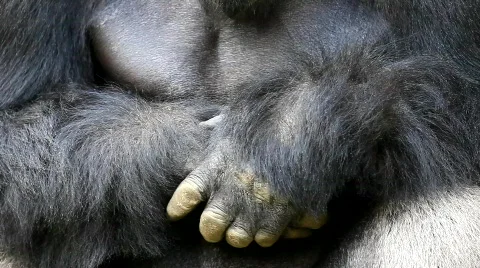 MVI 0226 Stock Footage 726626