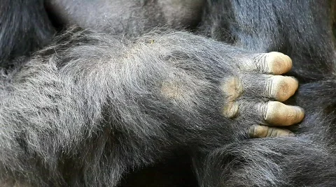 MVI 0230 Stock Footage 726573