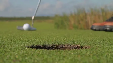 MVI 0252 Video stock 11398473