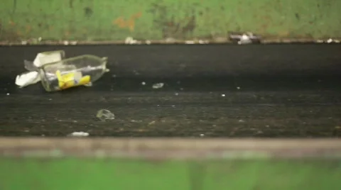 MVI 0255 動画素材 594494