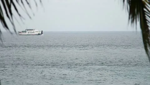 MVI 0379 2 Stock Footage 10835295