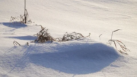 MVI 0506 Stock Footage 95805929