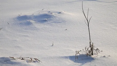 MVI 0512 Stock Footage 95805938