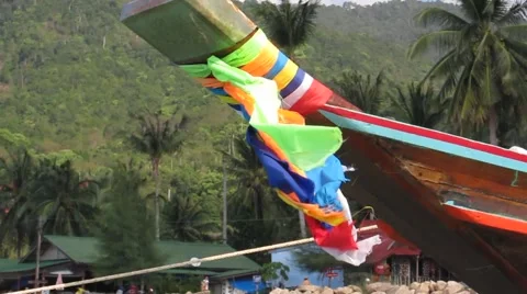 MVI 0535 Video stock 3981041