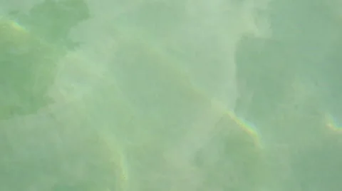 MVI 0536 Video stock 3964801