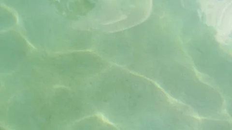 MVI 0537 Video stock 3964338