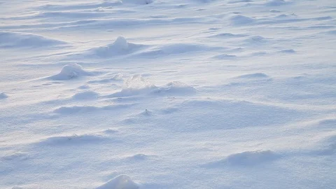 MVI 0554 Stock Footage 95805979