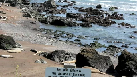 MVI 0565 Video stock 692175