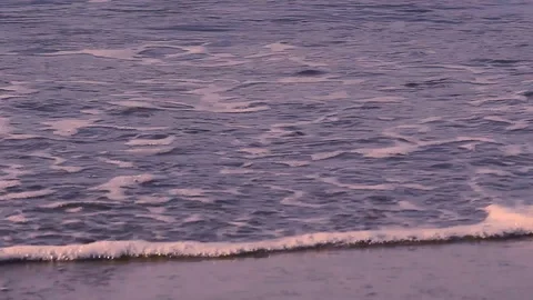 MVI 0593 Stock Footage 113472927