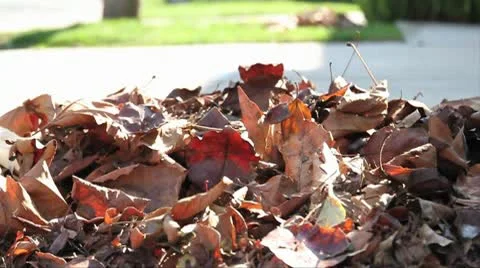 MVI 0600-focus zoom of leaf piles Stock Footage 8992082