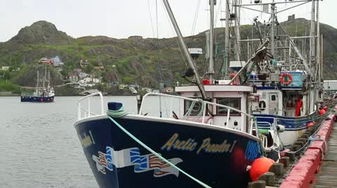 MVI 0641 Video stock 11398767