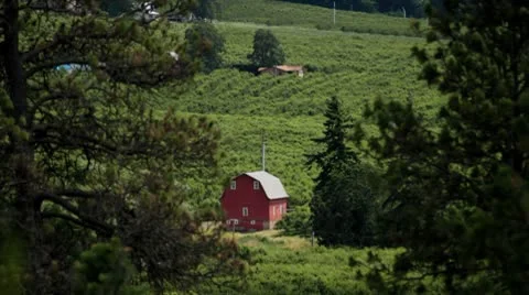 MVI 0666-Red barn in small vally Stock Footage 8955695