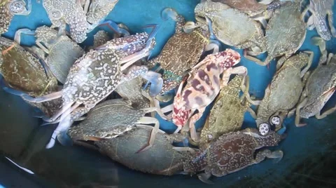 MVI 0683 Video stock 3980934