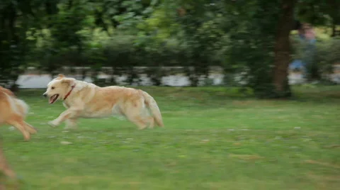 MVI 0781 Stock Footage 644493