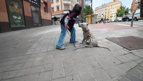 MVI 0874 Stock Footage 5209392