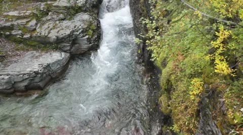 MVI 0975 Stock Footage 11626220