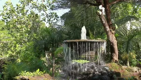 MVI 1030 Stock Footage 10835179