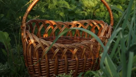 MVI 1259 Stock Footage 8650403