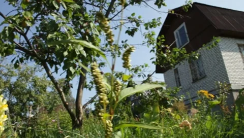 MVI 1297 Stock Footage 8650594