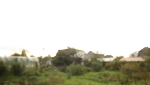 MVI 1664 Stock Footage 8650154