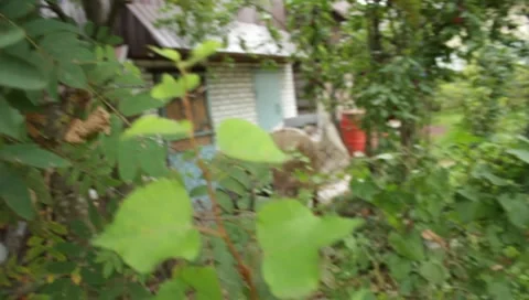 MVI 1708 Stock Footage 8652744