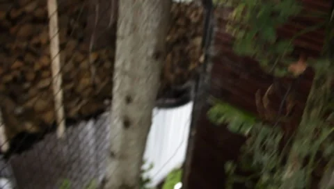 MVI 1709 Stock Footage 8652749