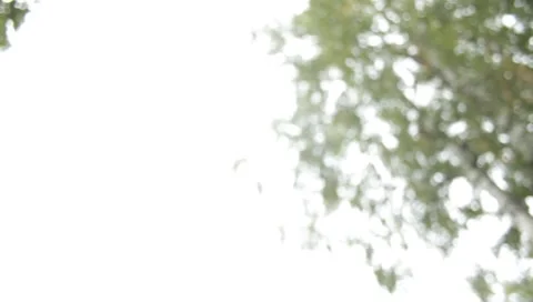 MVI 1713 Stock Footage 8652761