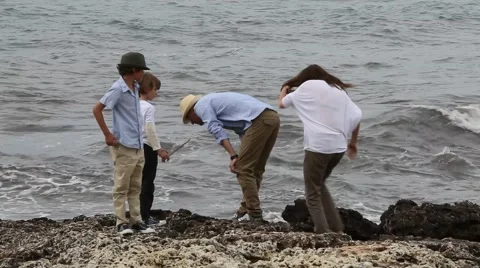 MVI 1741 Stock Footage 41699770