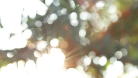 MVI 1815 Stock Footage 8652981