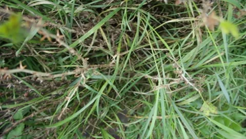 MVI 1834 Stock Footage 8653046