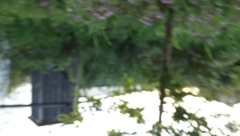 MVI 1842 Stock Footage 8653082