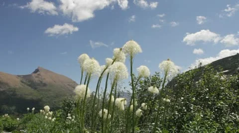 MVI 1967 Stock Footage 11626224