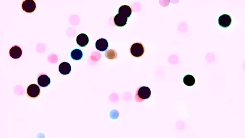 MVI 21 Stock Footage 118145409