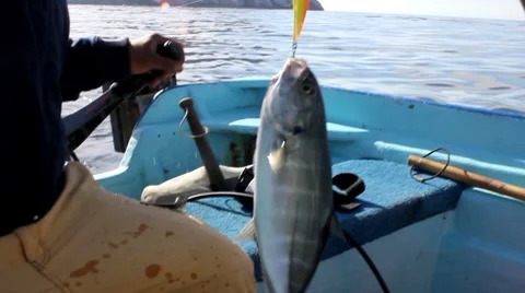 MVI 2318 1 Video stock 7755659