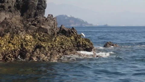 MVI 2370 Video stock 7748734