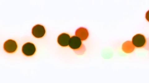 MVI 24 Stock Footage 118145446