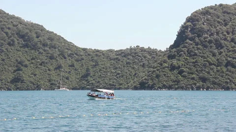 MVI 2452.MOV Stock Footage 24850081