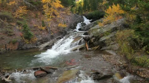 MVI 2466ssv13 Stock-Footage 11626331