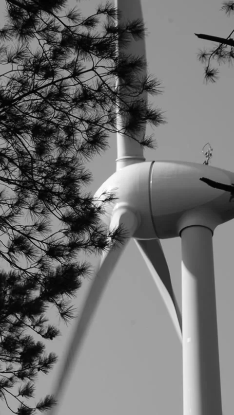 MVI 2471 Stock Footage 318476948