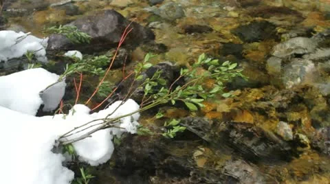 MVI 2480 Stock Footage 11626340