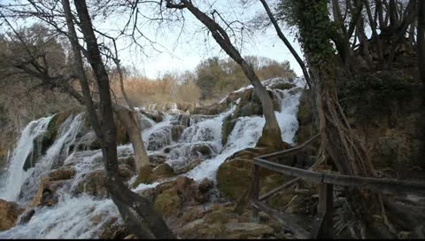 MVI 2531 Vídeos de archivo 11213553