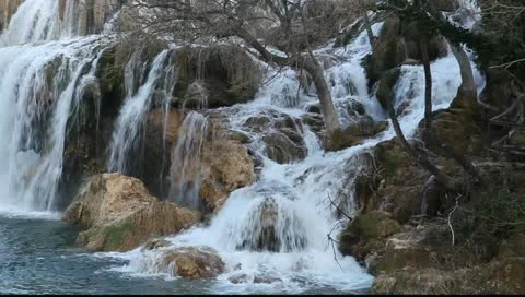 MVI 2536 Vídeos de archivo 11214257