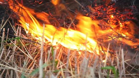 MVI 2577 Stock Footage 8921435