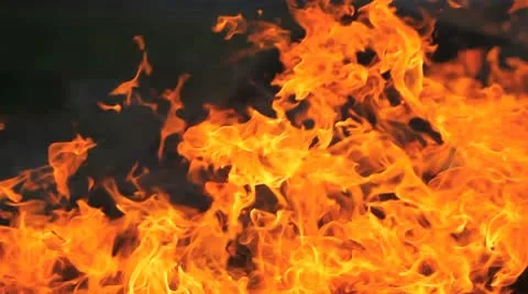 MVI 2582 Stock Footage 8921424