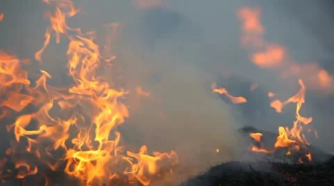 MVI 2588 Video stock 8921419