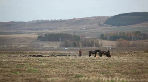 MVI 2592 Stock Footage 8947439