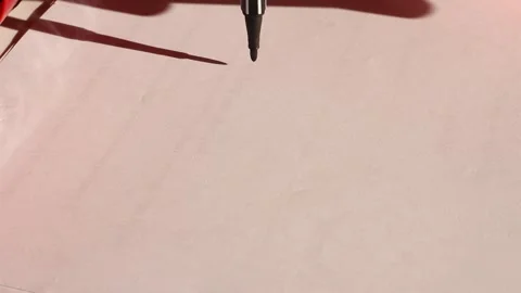 MVI 2983 動画素材 169029748